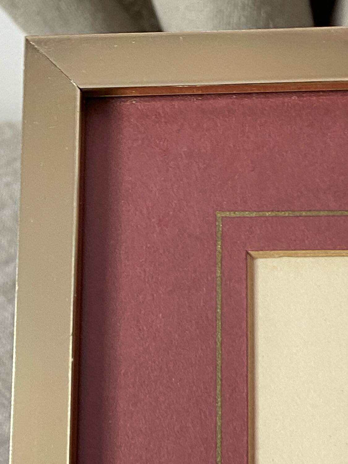 Botanical poster, P-J Redouté, brass frame