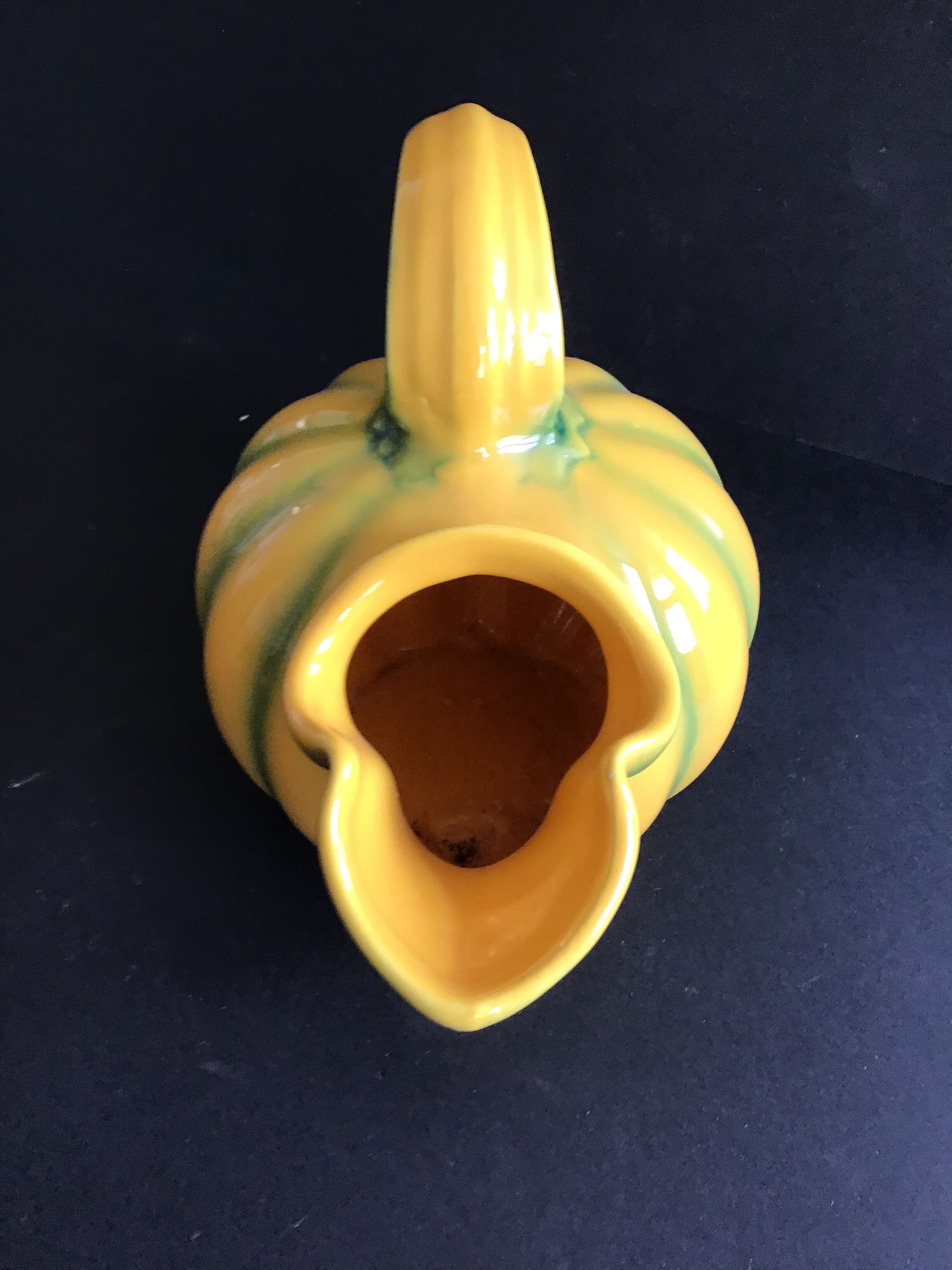 Pitcher melon - Longchamp - France