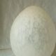 Pair of marble glass egg lamps