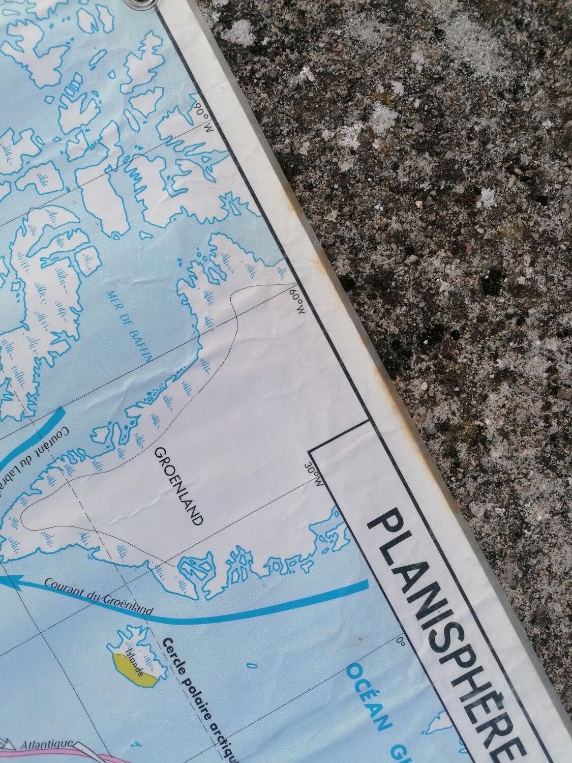 Planisphere world map vintage physics and vegetation