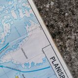 Planisphere world map vintage physics and vegetation