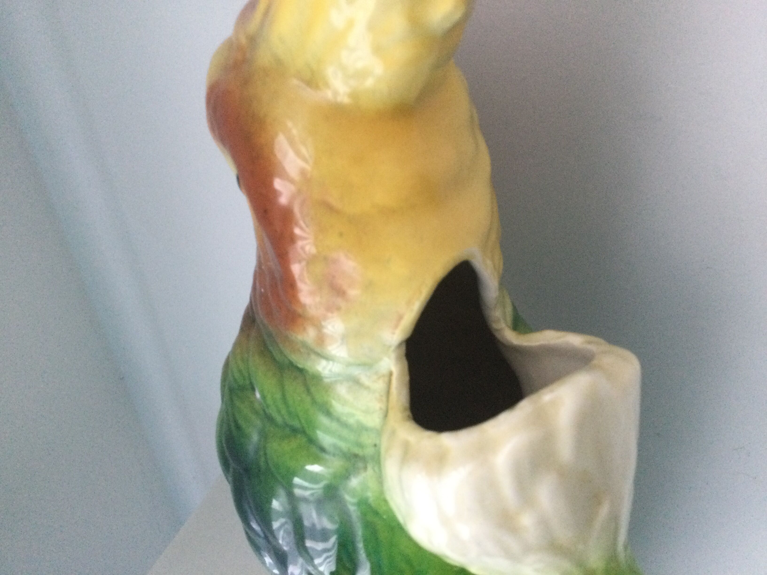 Parrot pitcher in Slip