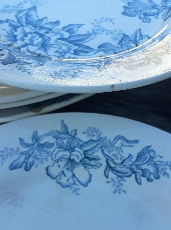 Part of the Floreal service from the Givors Earthenware Factory (Grigny Rhône)