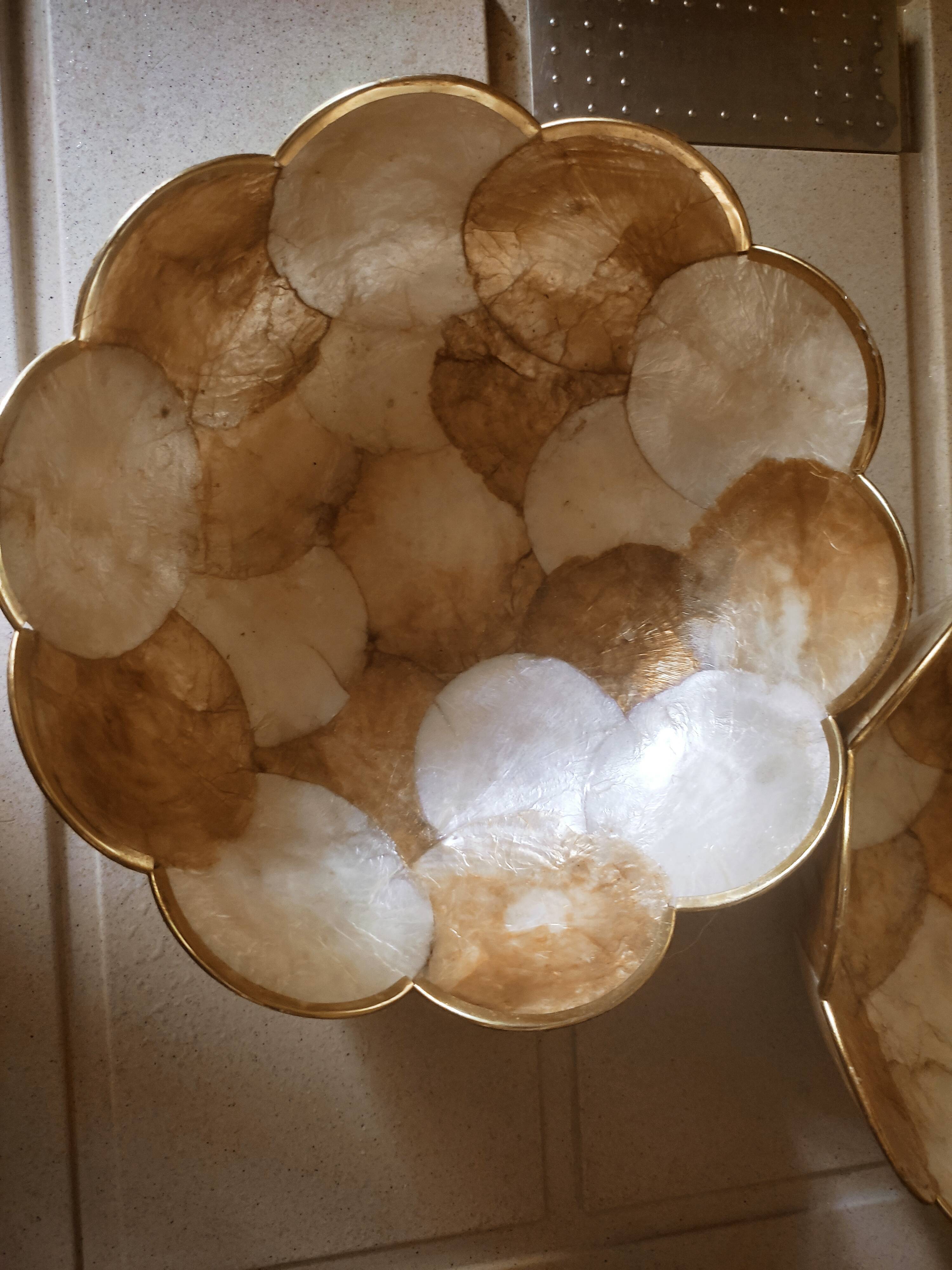 Duo de cups in mother-of-pearl