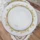 Set of 6 Limoges porcelain plates Haviland Hôtel Métropole Brussels