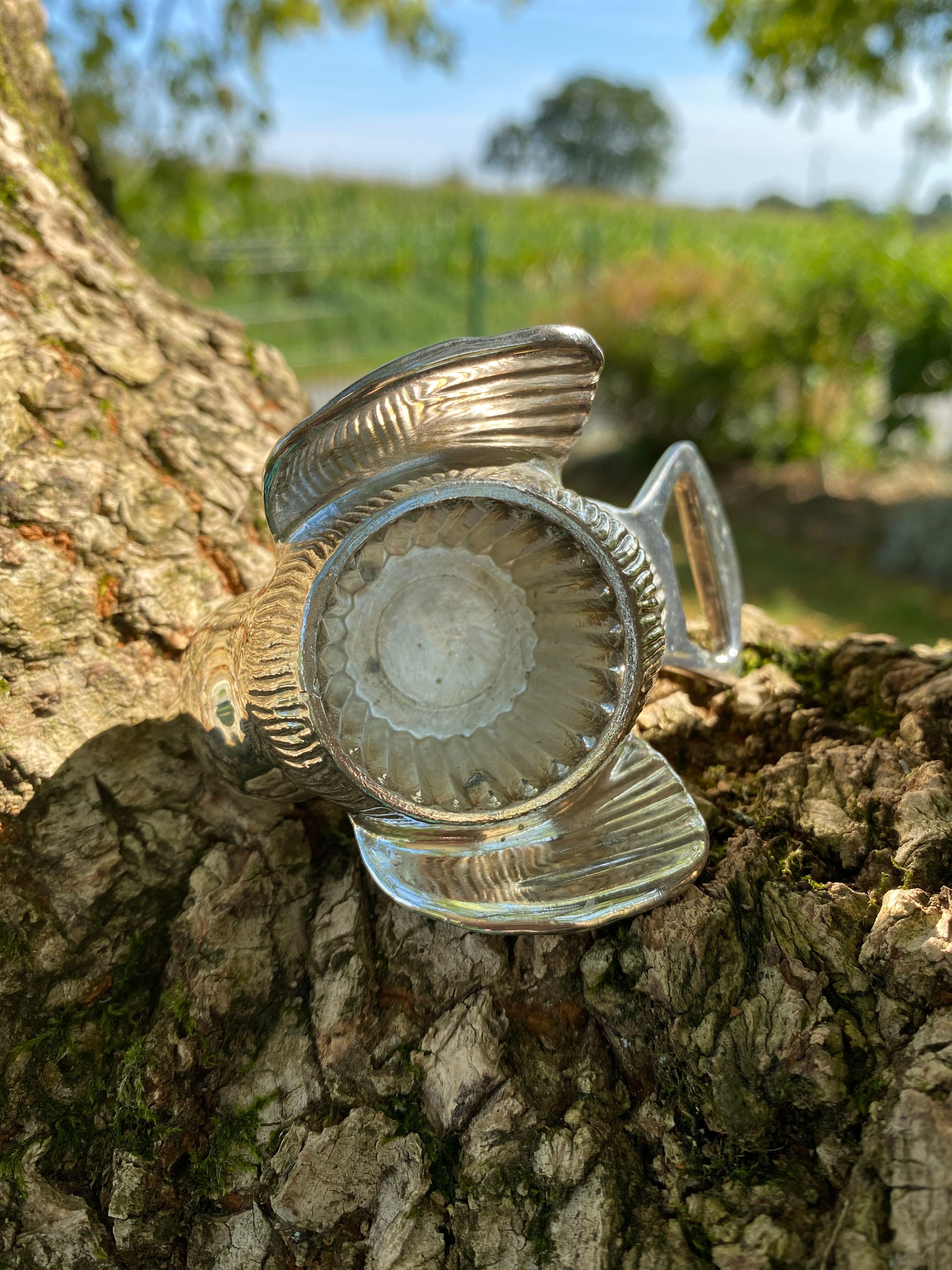 Open bottle bottle opener bird