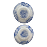 Set of 2 St Amand ironstone plates, Jardinière model
