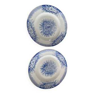Set of 2 St Amand ironstone plates, Jardinière model