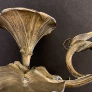 Art Nouveau bronze hand candle holder or cellar rat, 1900