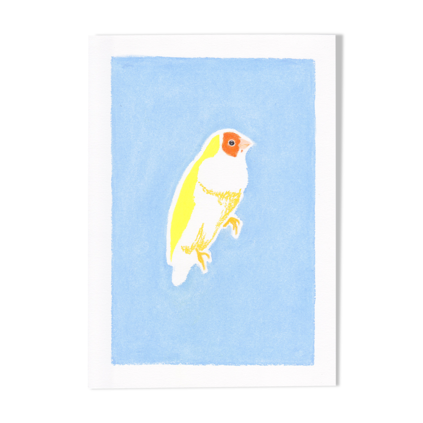 Oiseau "Diamant de Gould" - Dessin original