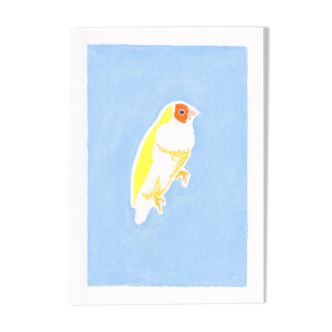 Bird "Gould's Diamond" - Original Drawing