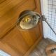 Jielde lamp