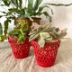 Pot covers