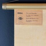 Vintage educational poster of the circulatory system from the Deutsches Hygiene Museum Dresden GDR (East Germany), 1976.