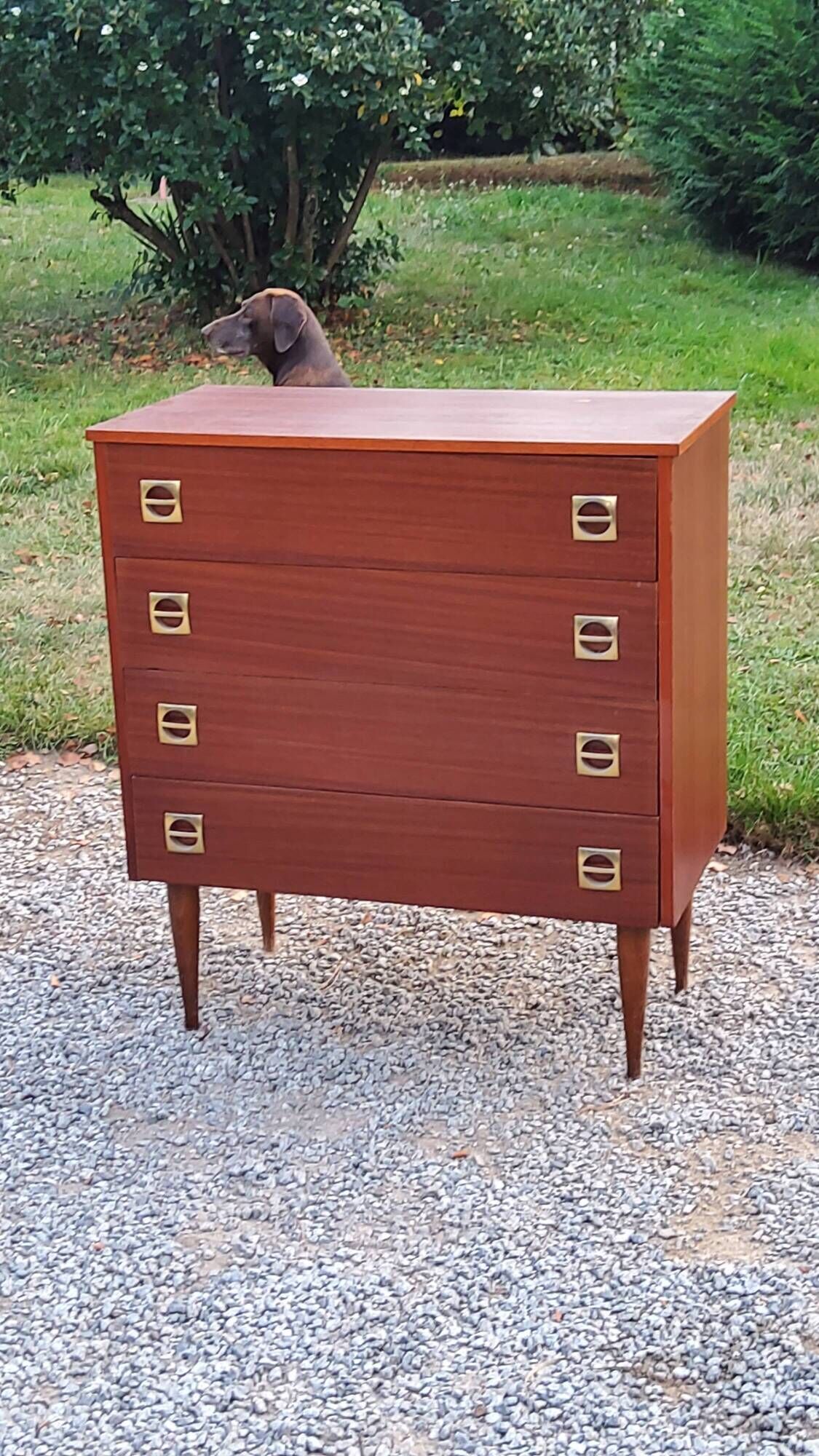 Vintage mahogany chest of drawers from the 60s conical feet 4 drawers