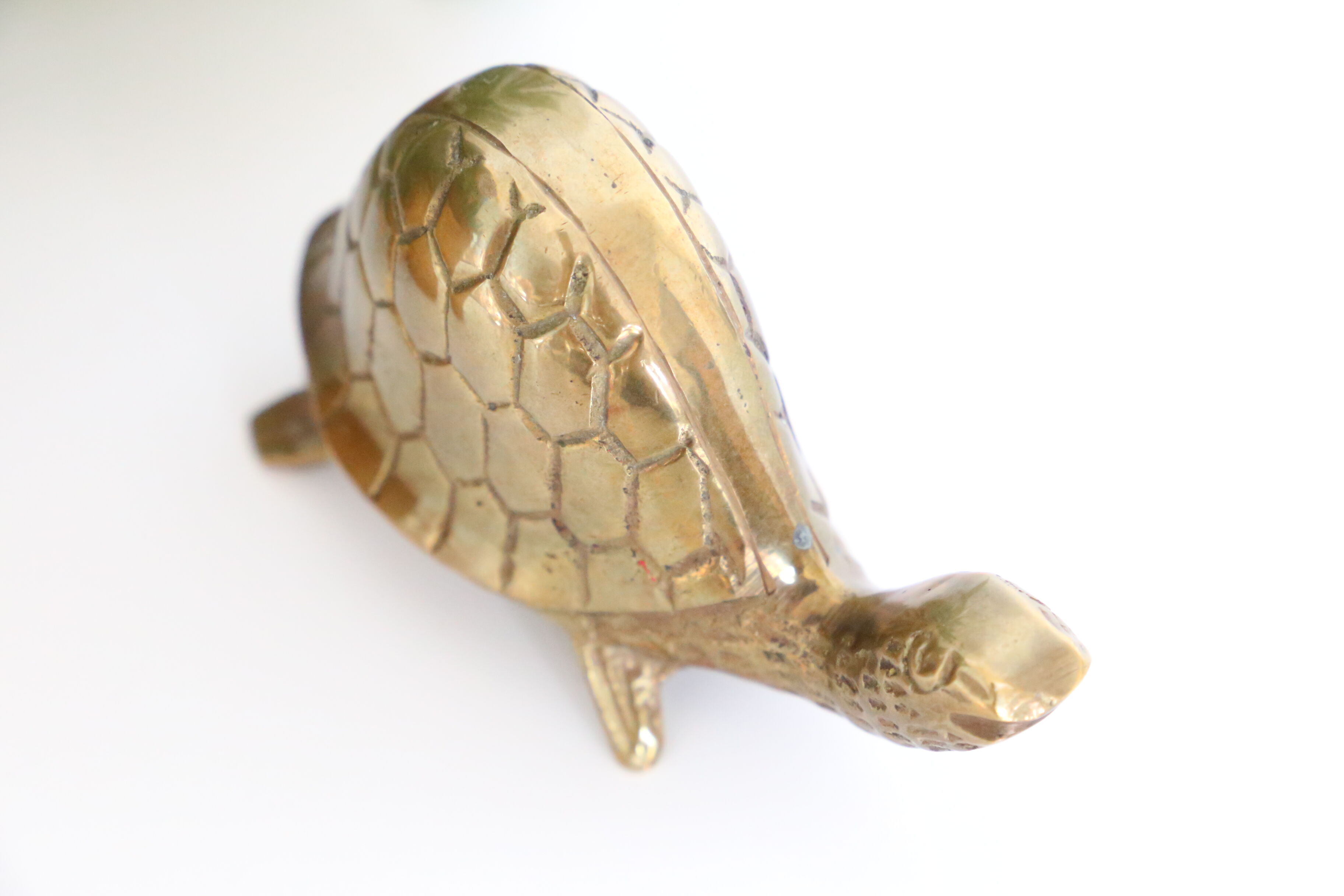 Brass turtle