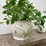 White ceramic pot cache in old flower slip