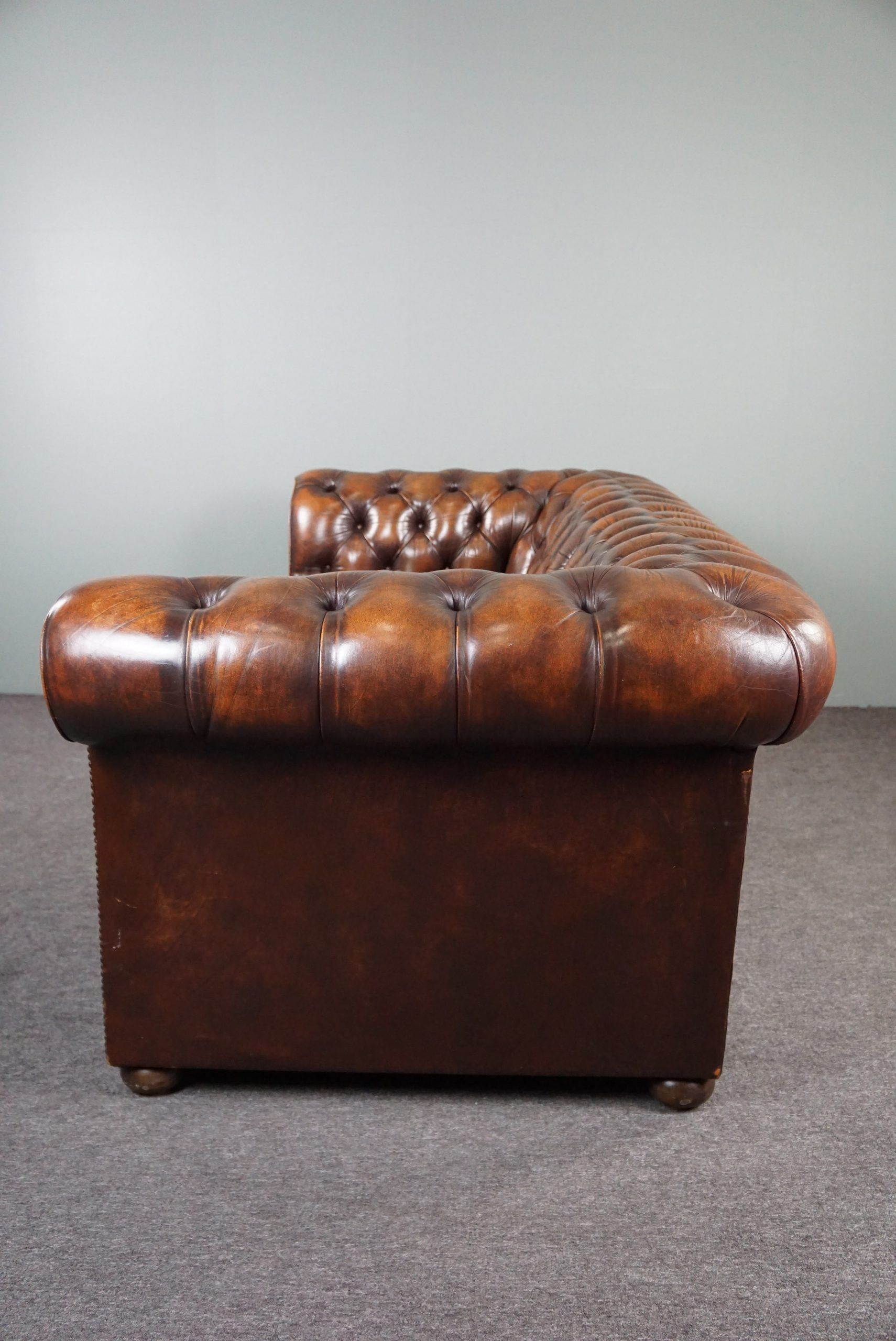Chesterfield sofa in old cowhide 2.5 seats