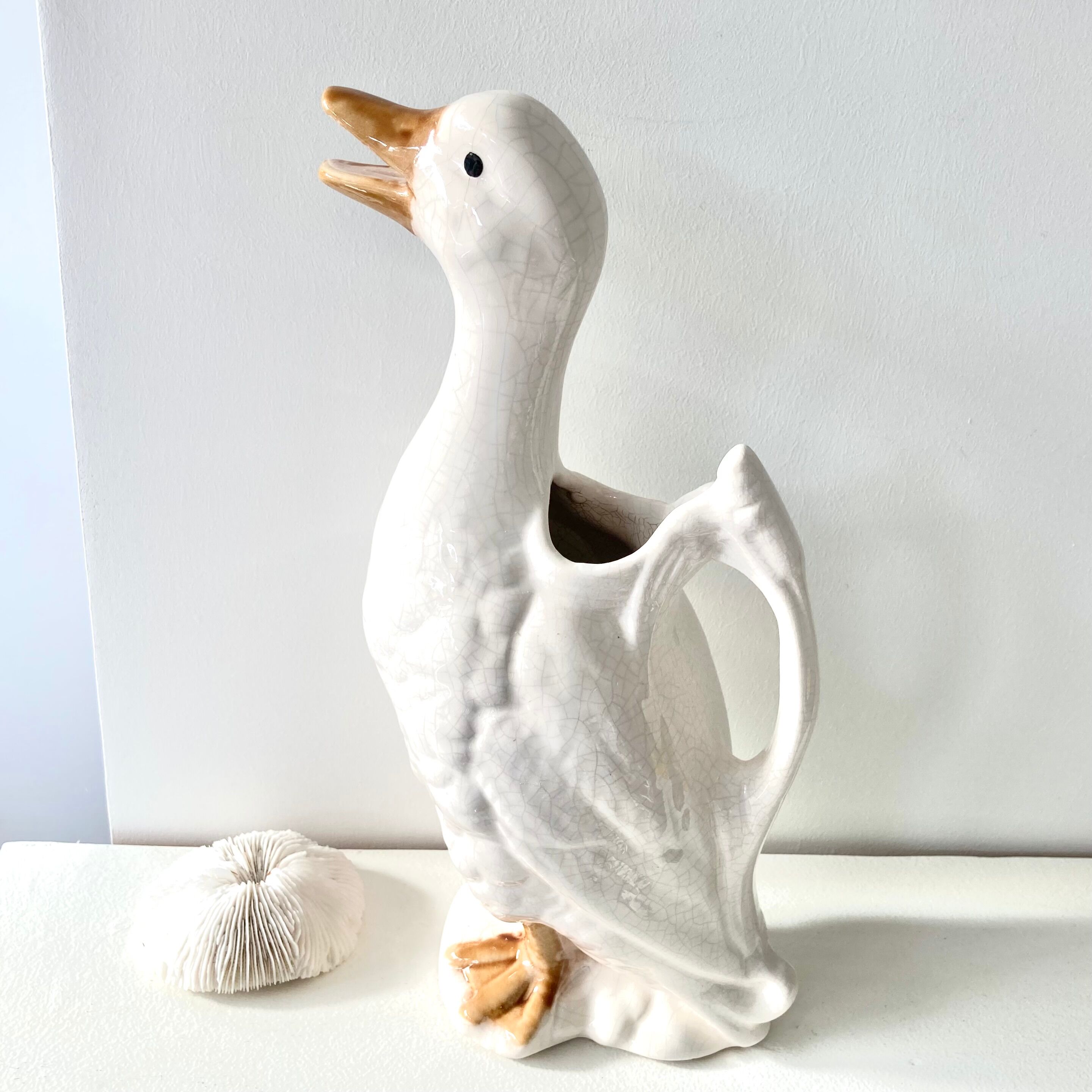 Pitcher duck slurry St Clément