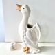 Pitcher duck slurry St Clément