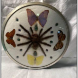 Cute frame and vintage butterflies