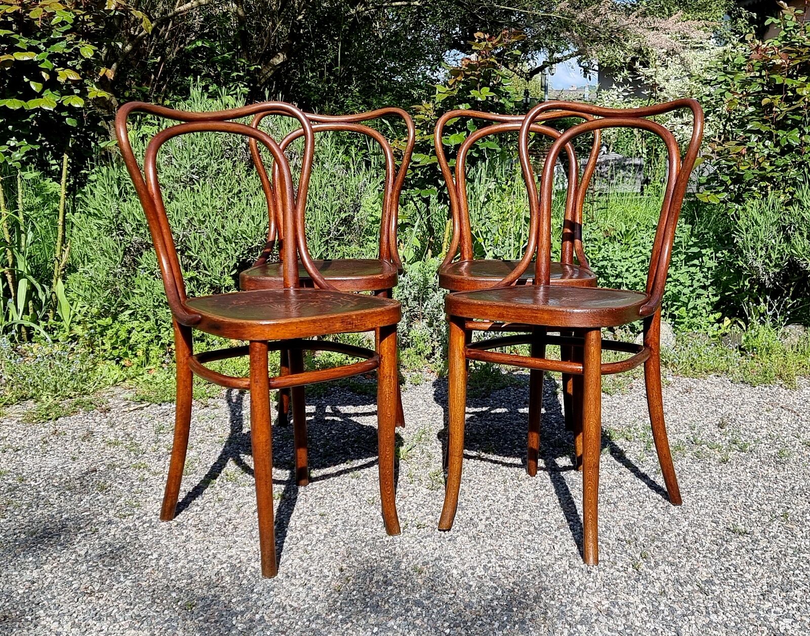 4 chairs bistrot Kohn n°55 early twentieth