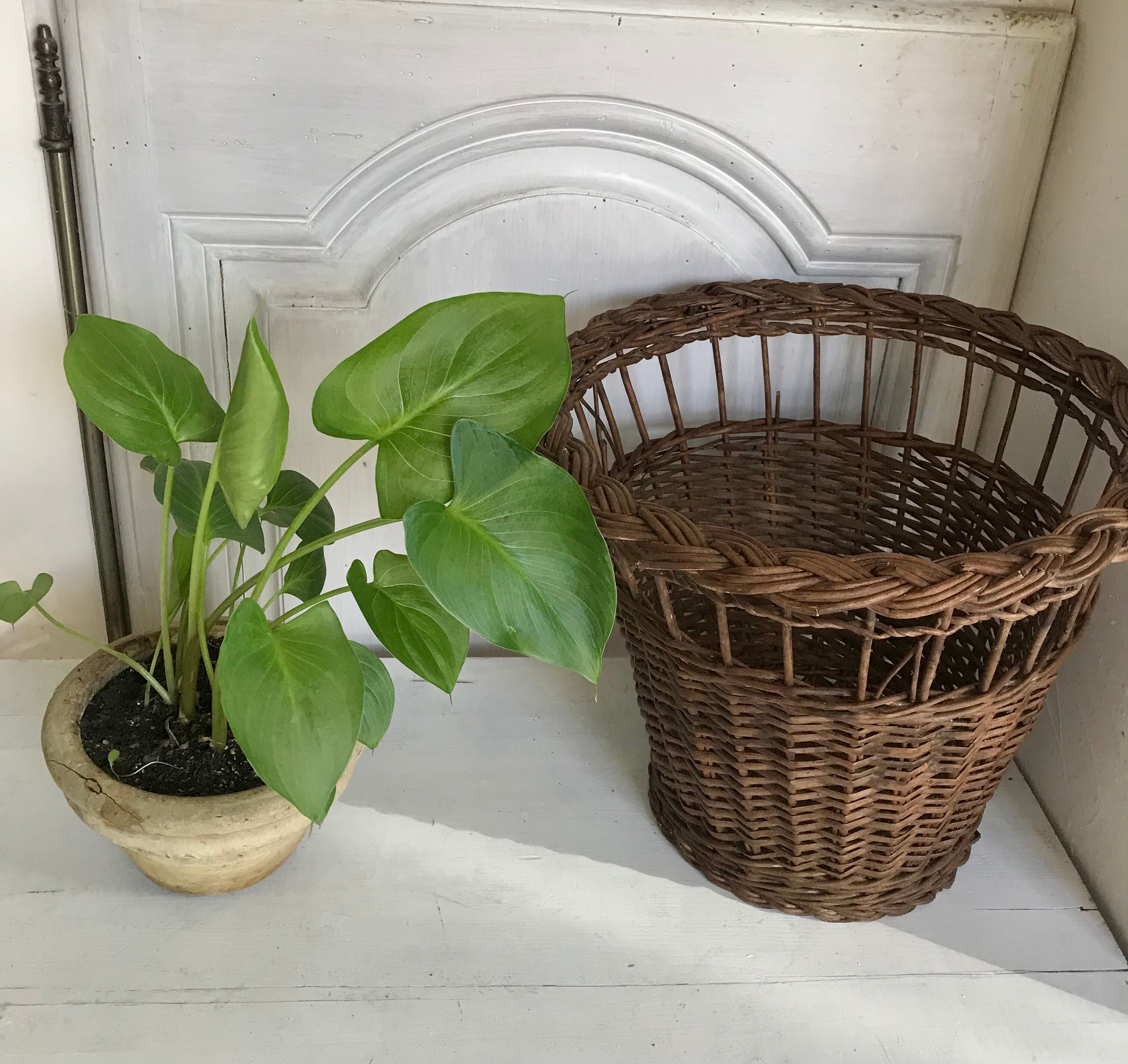 Vintage paper basket