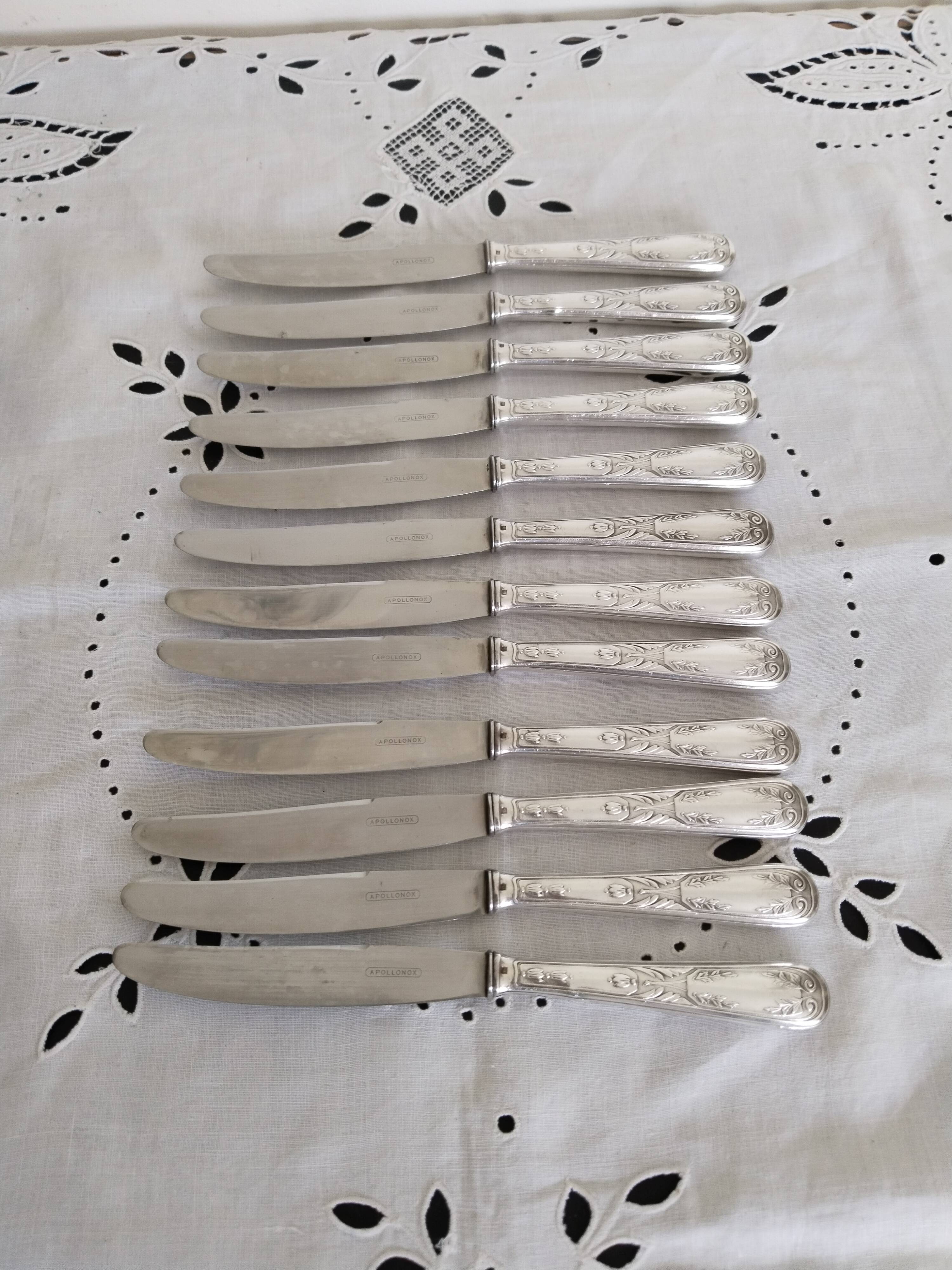 Set of 12 vintage knives, stainless steel blade and silver handle + box