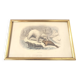 Zoological board engraving Buffon white bear and seal gilded wood frame