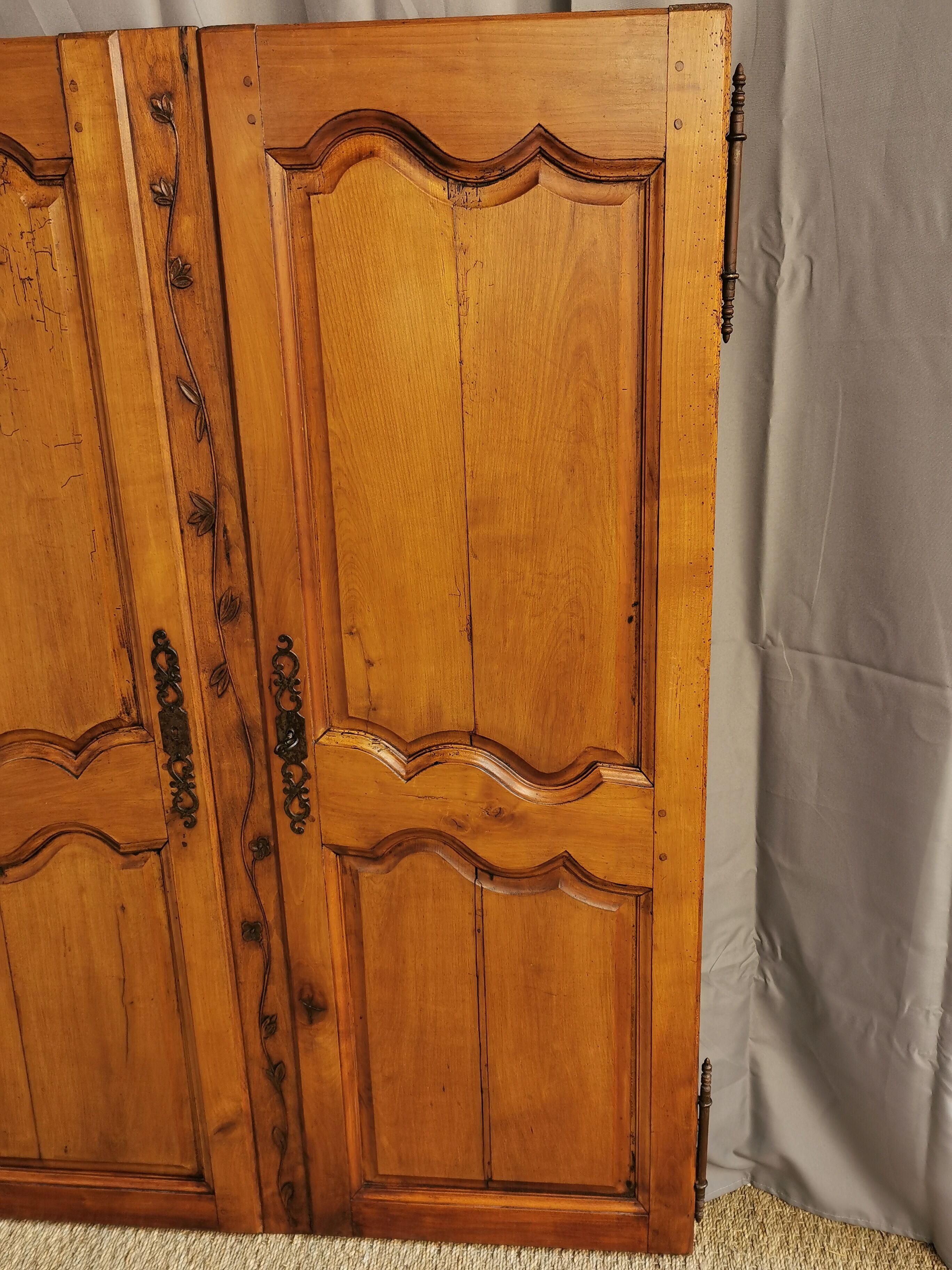 Paire de portes d'armoire ancienne XlXème
