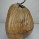 Old ice bucket coconut deco vintage