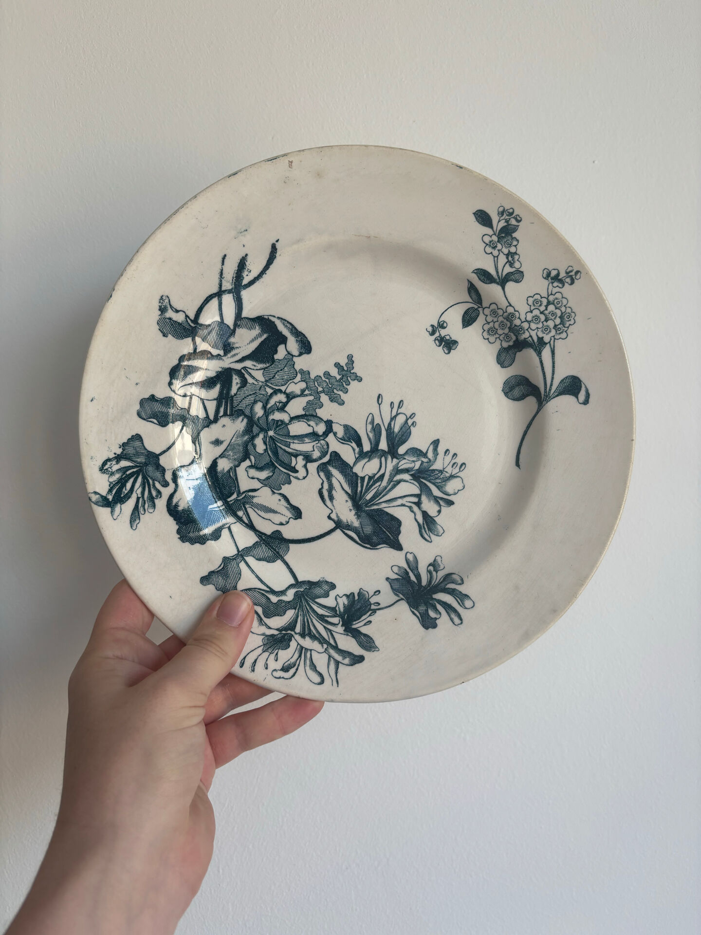 Flat plate, ironstone, Sarreguemines, blue flower - antique earthenware.