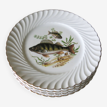 6 assiettes plates décor poisson