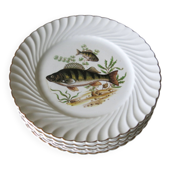 6 assiettes plates décor poisson