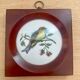 Porcelain and bakelite frame