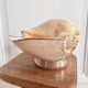 Cabinet of curiosities giant shell circled cup and base 60s