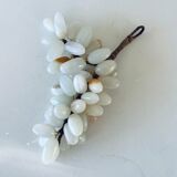 Bunch of onyx grapes