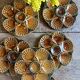 Set of 6 vintage ceramic oyster plates - Sarreguemines -