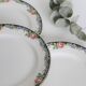 Set of 4 dessert plates Digoin Sarreguemines, vintage French, authentic, rare