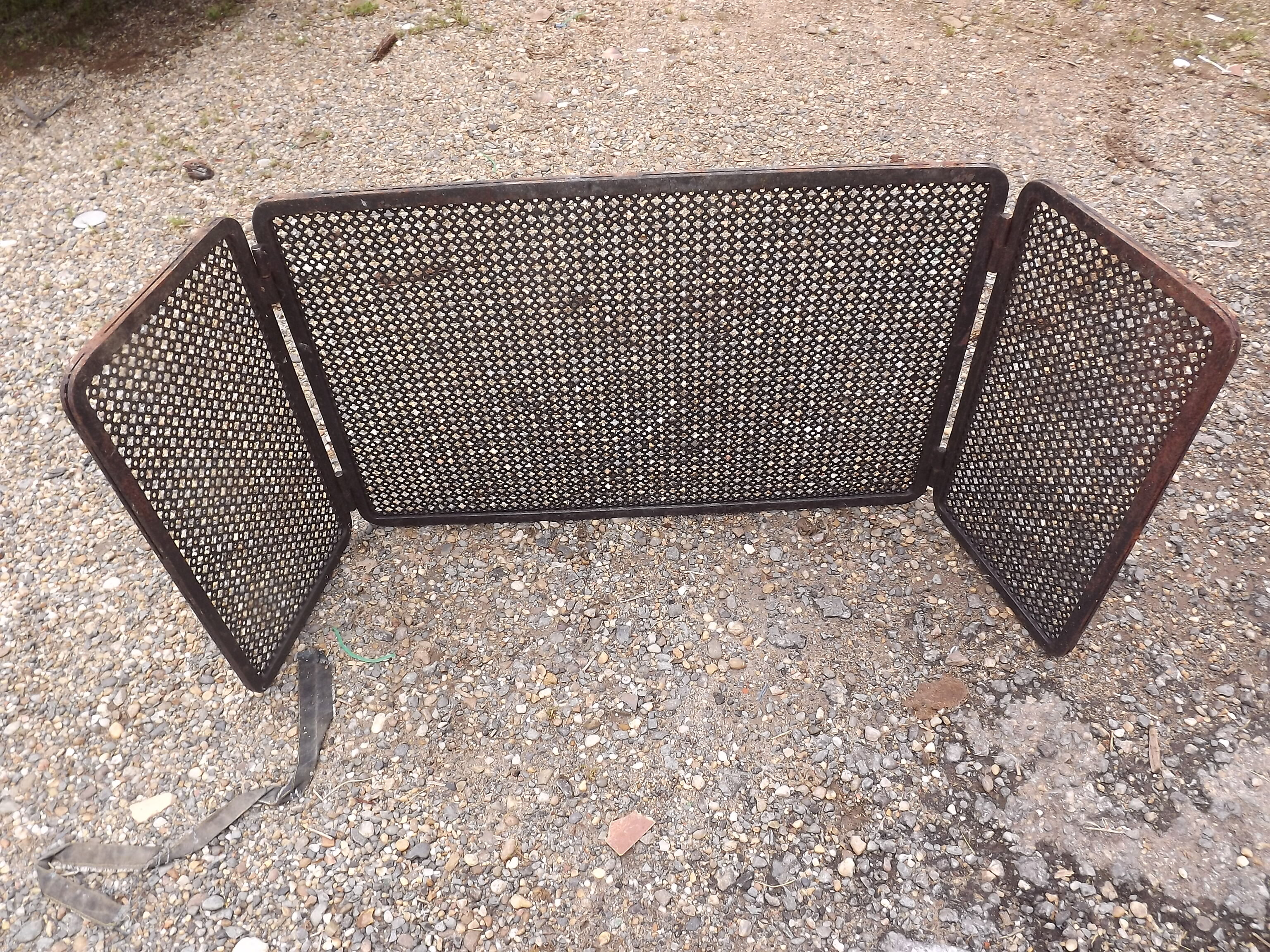 Shield fire with cast iron andirons