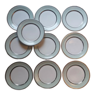 Flat plates Limoges