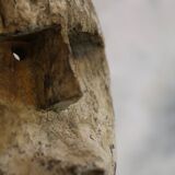 Timor mask made from recycled wood