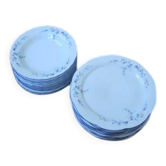 12 flat plates and 12 deep plates vintage blue flowers Winterling Bavaria - 1970s