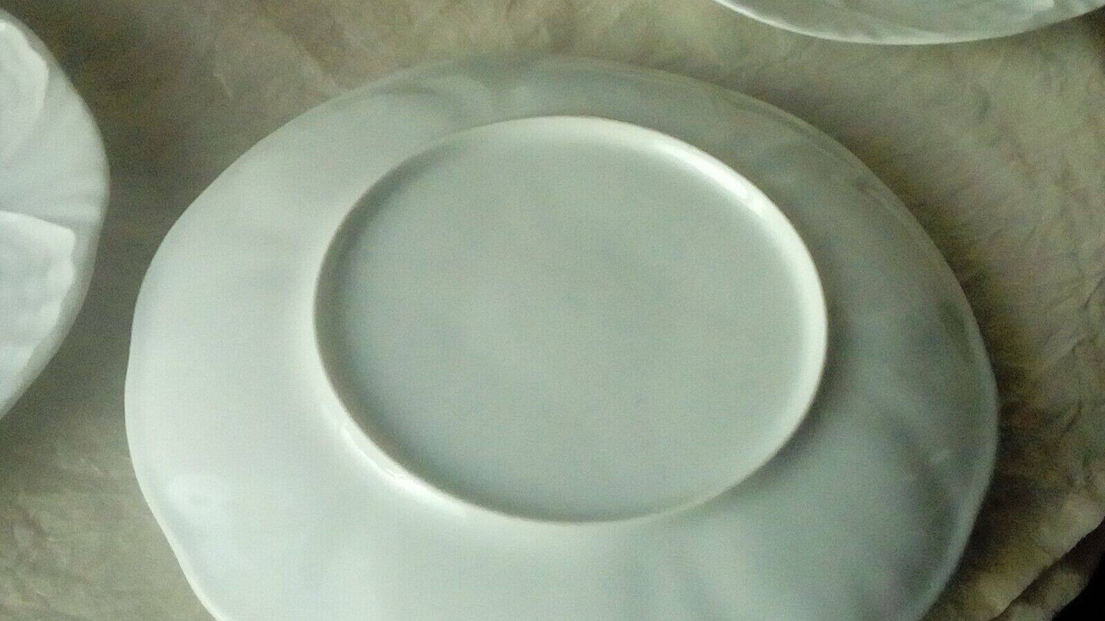 White porcelain oyster plates
