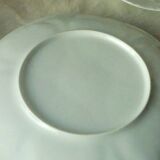 White porcelain oyster plates