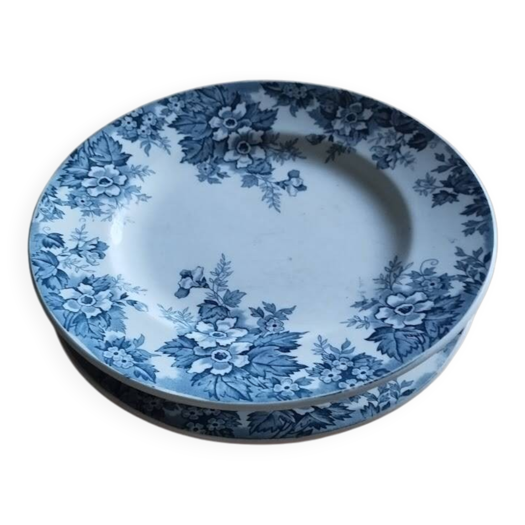 "Marie-Louise" Stacked Plates – Saint-Amand | Antique Pair 23 cm