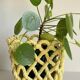 Vintage Braided Cache-Pot