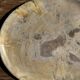 Petrified wood catchall or dish in beige with several grey spots in the centre.