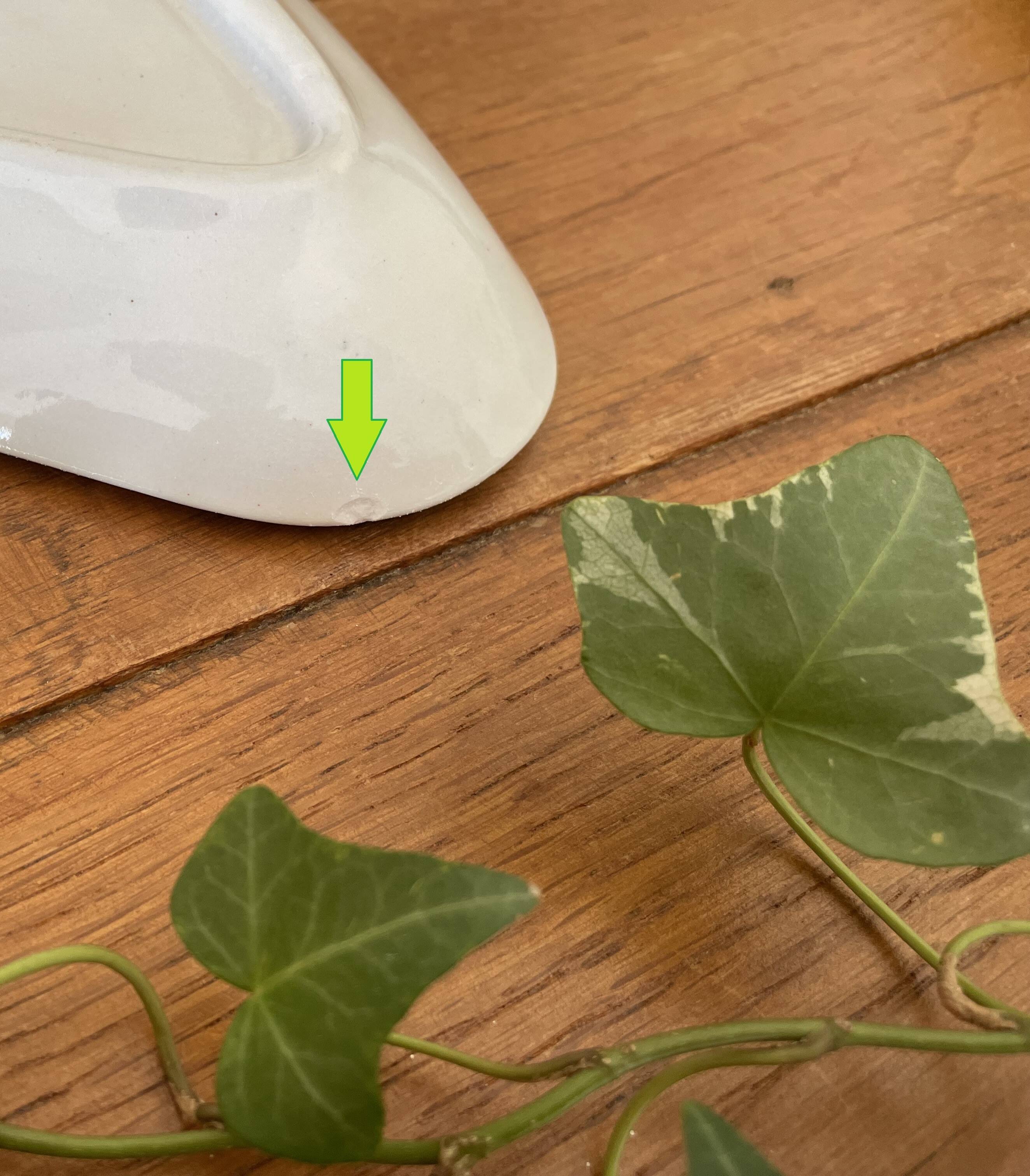 Pair of antique earthenware butter dishes from Saint-Amand (Nord)