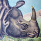 Educational poster, rhino, lithograph, Karl Jansky, Böhmen, 1897